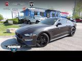 2022 Ford Mustang GT 6 Speed Manual - Auto Dealer Ontario